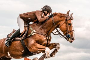 cl-horse running