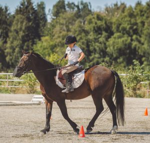 ride in horse