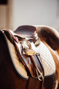 horse ride vancouver